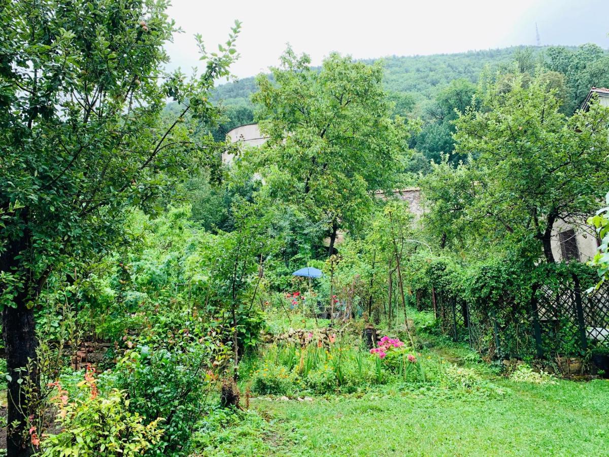 Maan Central Apartment Pet Friendly Location Braşov Esterno foto